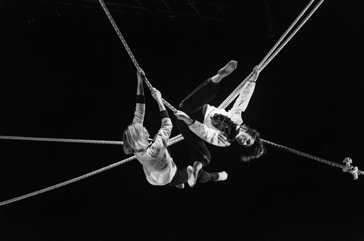 LA TRIBU PERFORMANCE